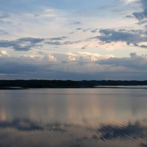 Photo #12499973