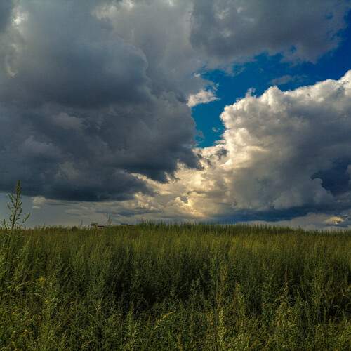 Photo #12500045