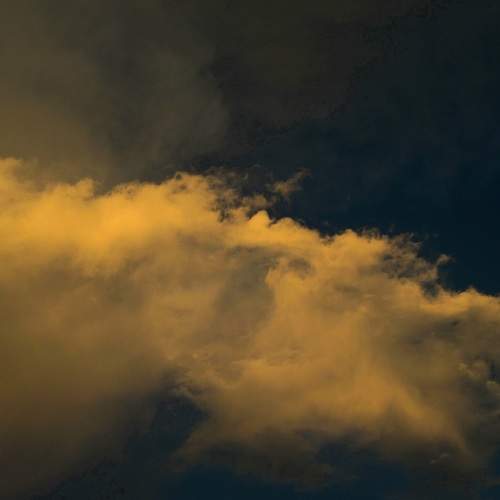 Photo #12500065