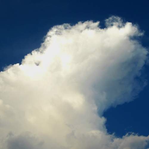 Photo #12500066