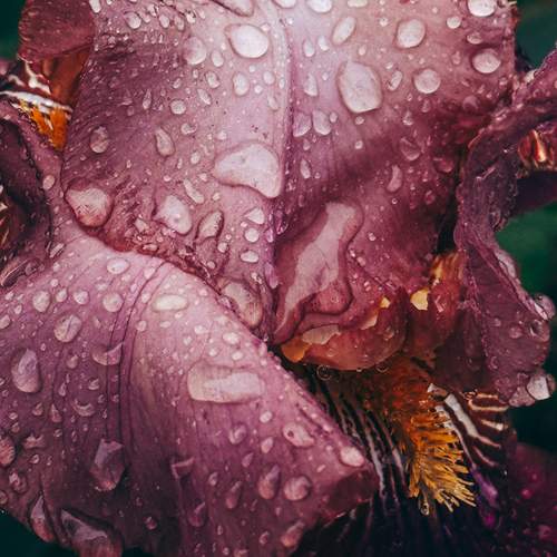 Photo #12500092