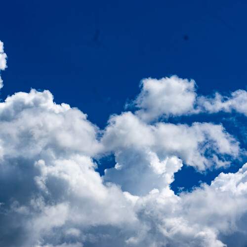 Photo #12500160