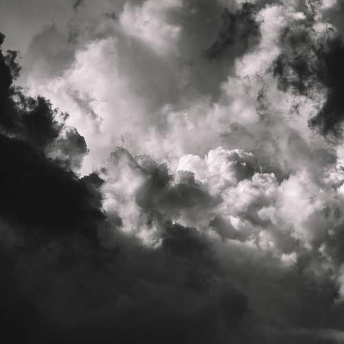 Photo #12500178