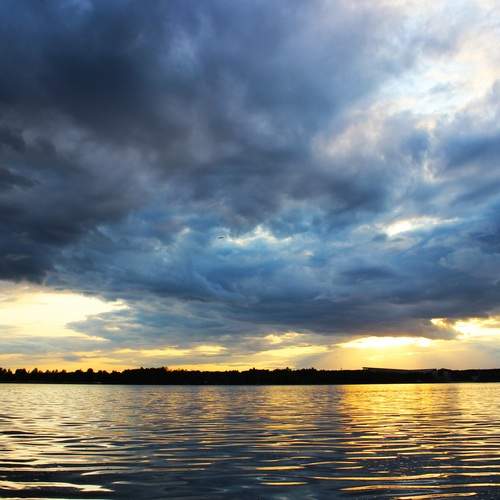 Photo #12500278