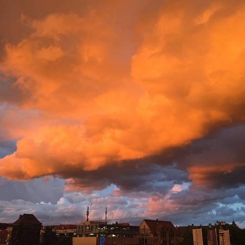 Photo #12500360