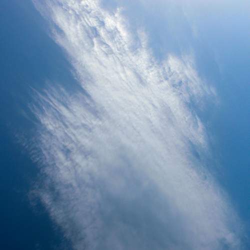Photo #12500731