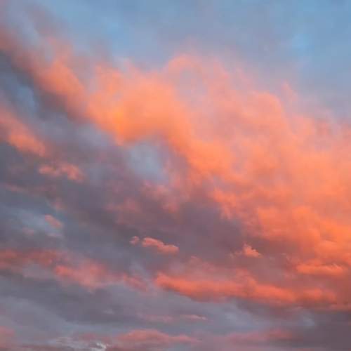 Photo #12500816