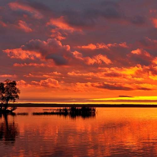 Photo #12500818