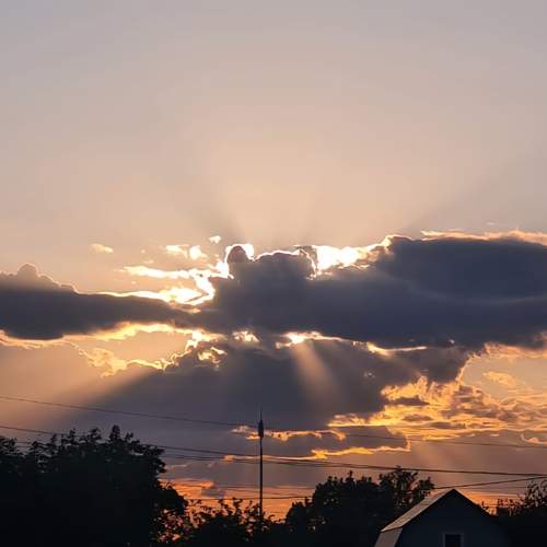 Photo #12500832