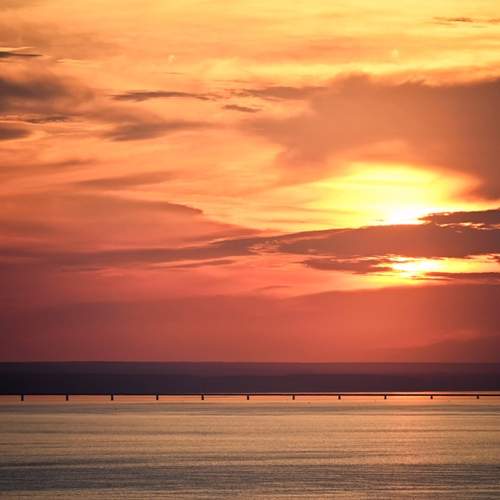 Photo #12500853
