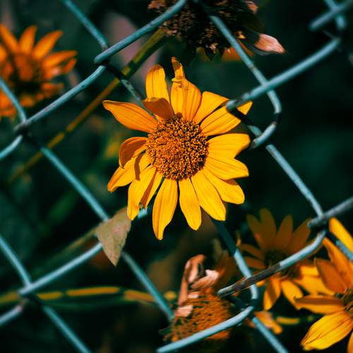 Photo #12500871