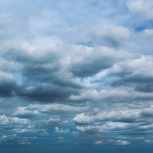 Photo #12500883