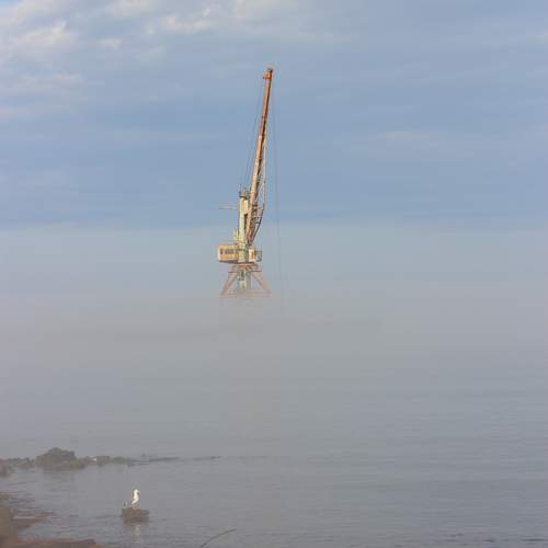 Photo #12501037