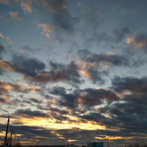 Photo #12501097