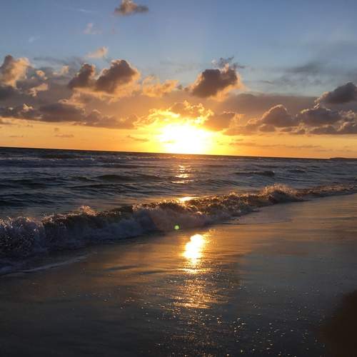 Photo #12501274