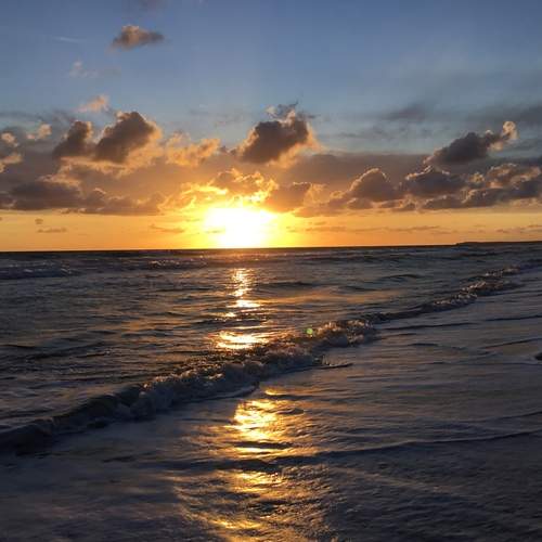 Photo #12501275