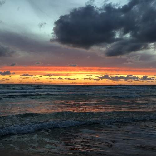 Photo #12501312
