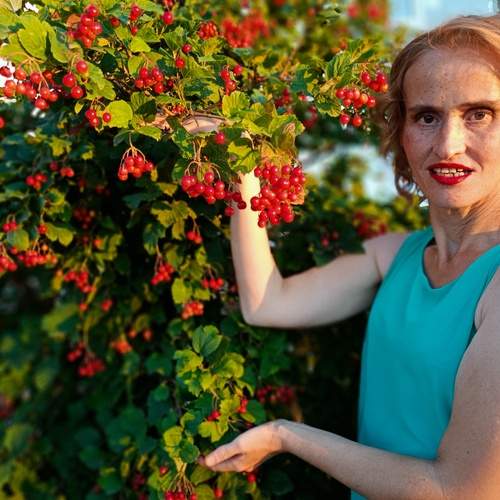 Photo #12501395