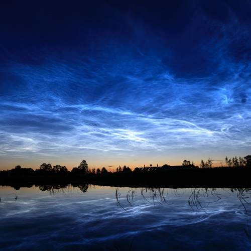 Photo #12501502