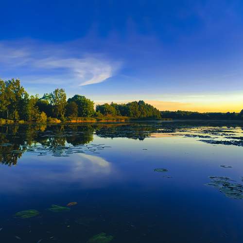 Photo #12501512