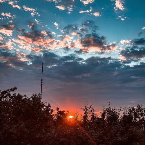 Photo #12501535