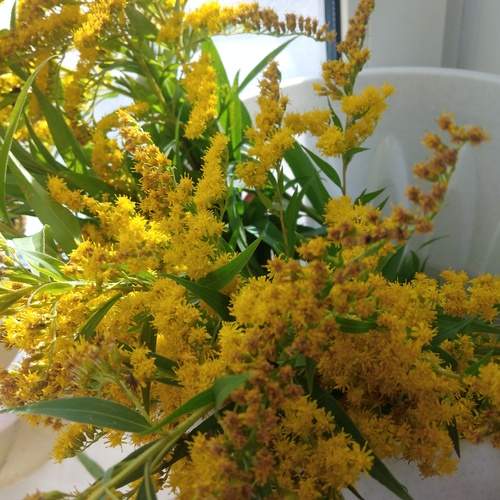 Photo #12501676