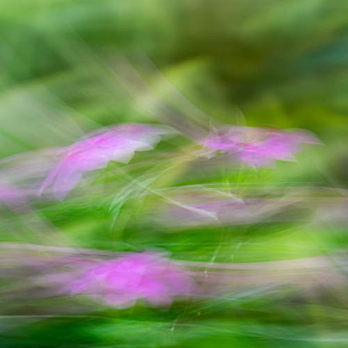 Spreading fragrance