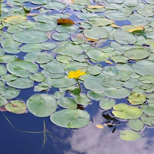 Photo #12501721