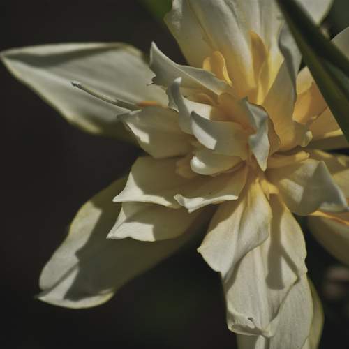 Photo #12502005