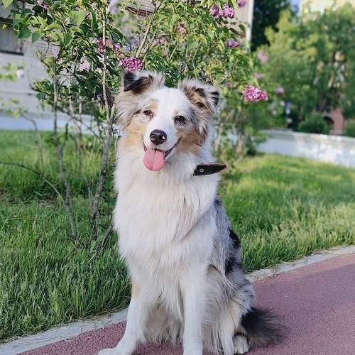 Photo #12502187