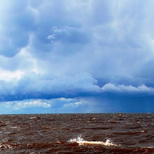 Photo #12502278