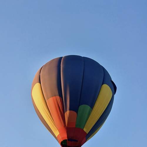 Photo #12502295