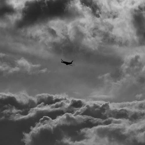 Photo #12502423