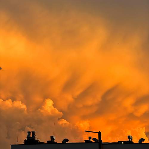 Photo #12502427