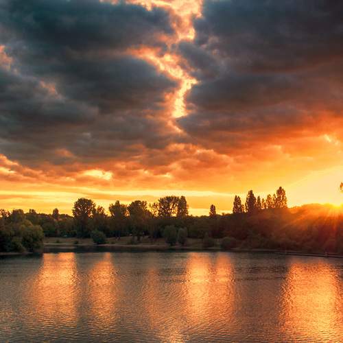 Photo #12502483