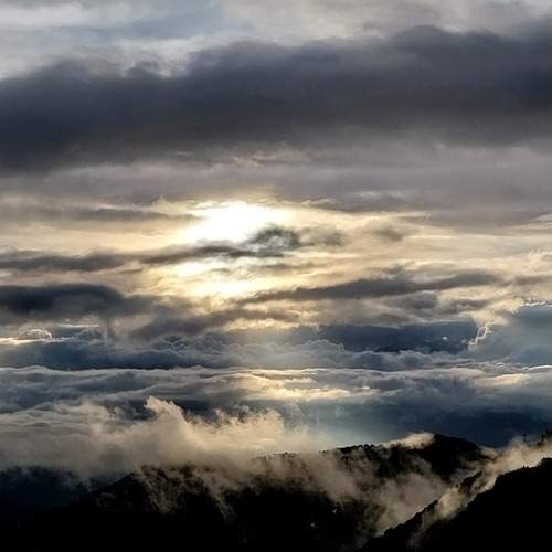 Photo #12502736
