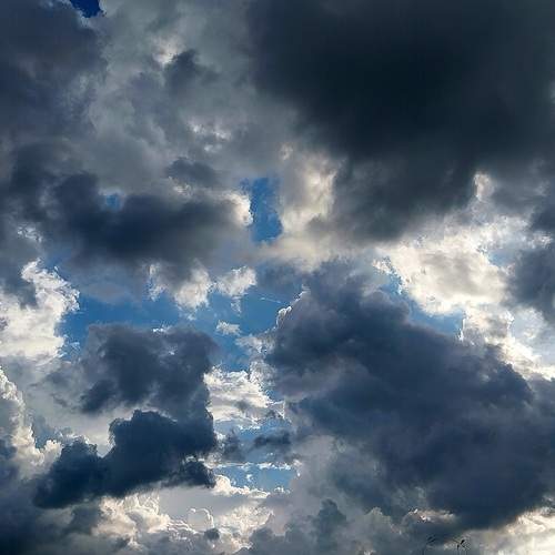 Photo #12502742
