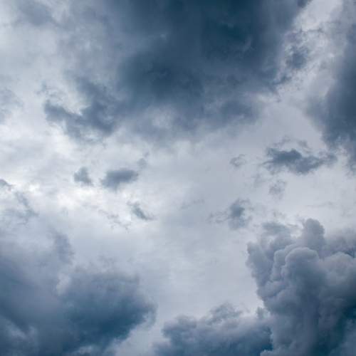 Photo #12502802
