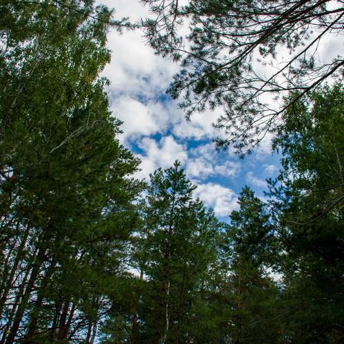 Photo #12502862