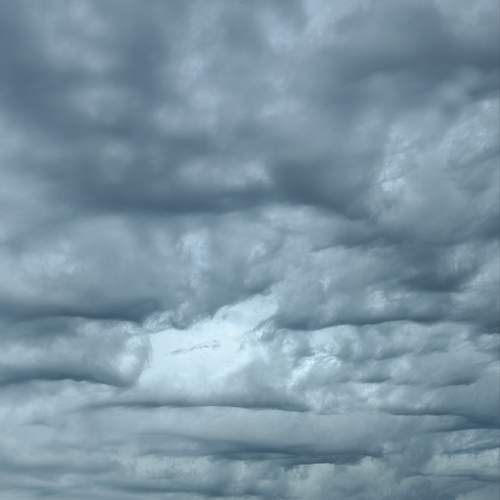Photo #12502939