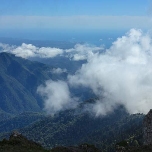 Photo #12502947