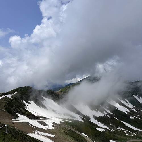 Photo #12502951