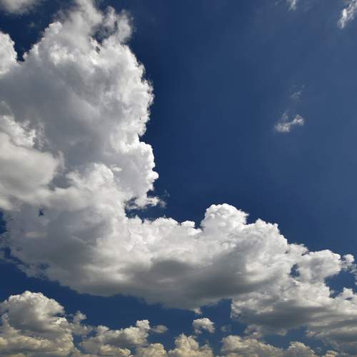 Photo #12503118