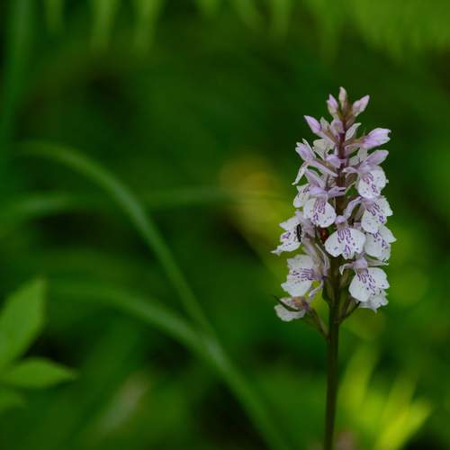 Photo #12503133