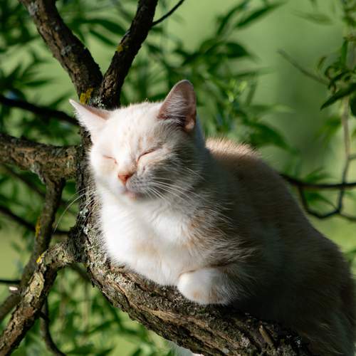 Photo #12503152