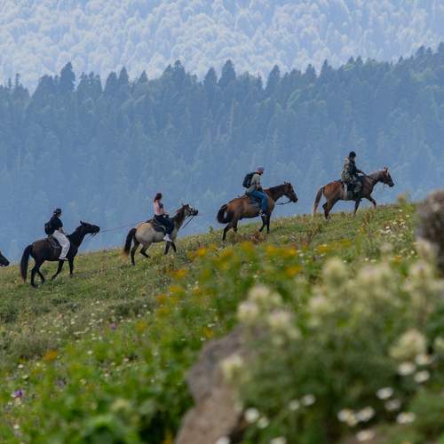 Photo #12503153