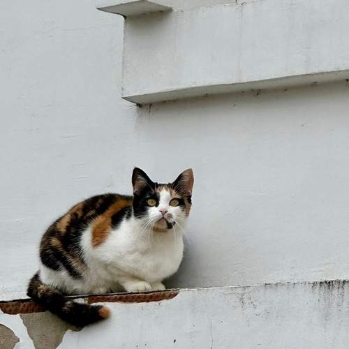 Photo #12503168