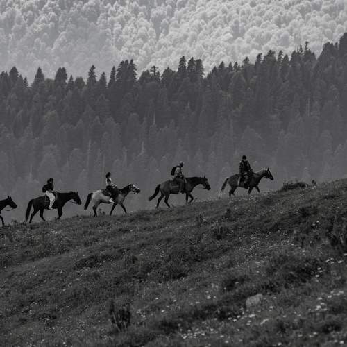 Photo #12503201