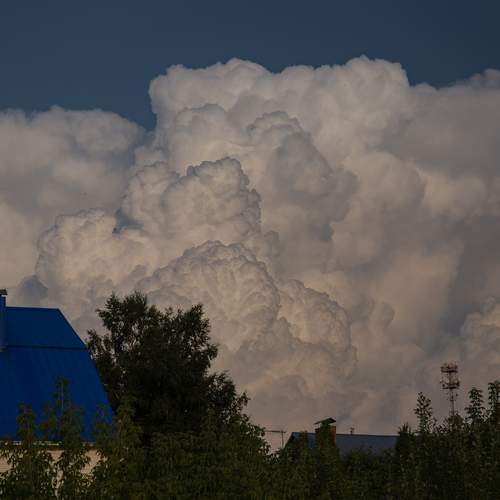 Photo #12503264
