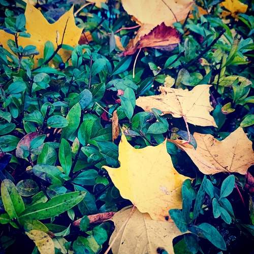 Photo #12503363